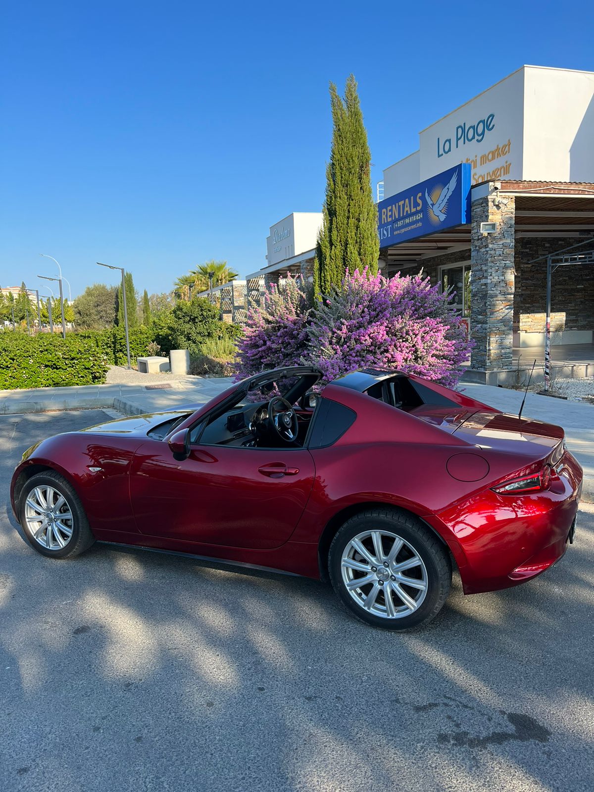 Mazda Roadster